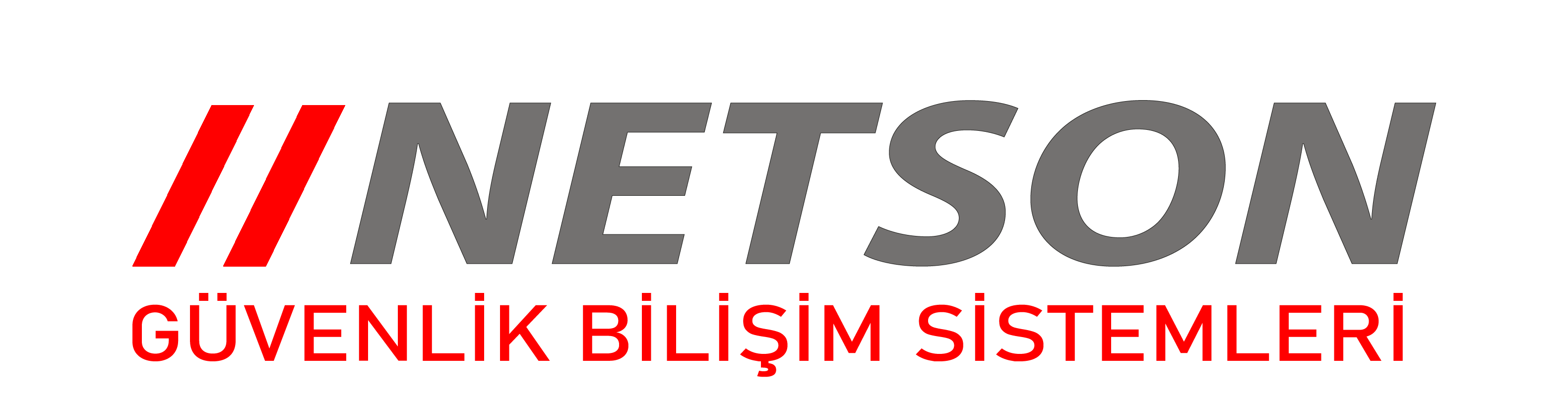 Netson Güvenlik Bilişim Sistemleri