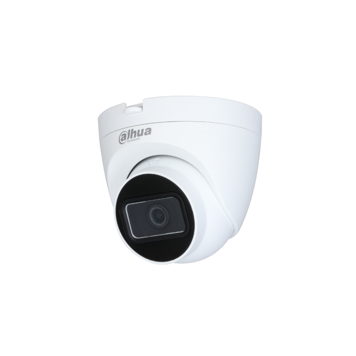 2MP IR Eyeball Network Kamera